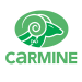 partenaire carmine